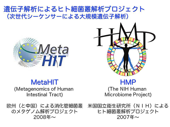 第99回 腸内細菌 プロバイオティクスと健康 一般社団法人日本乳業協会