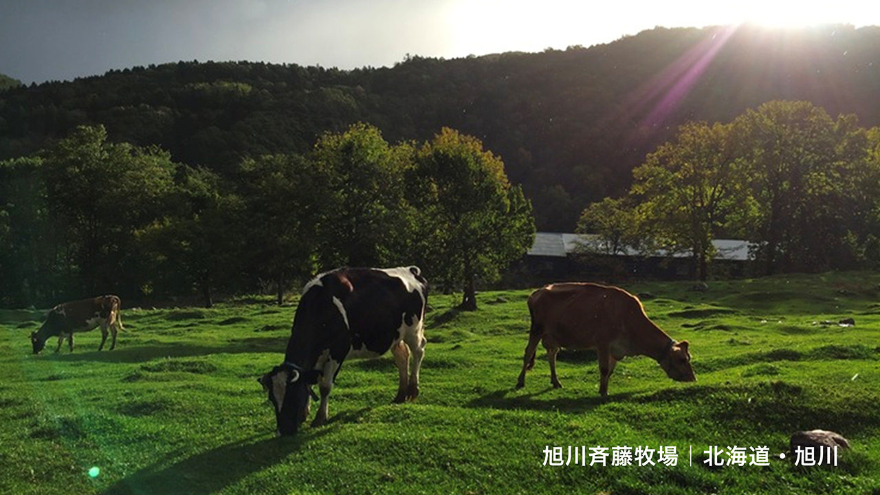 旭川斉藤牧場