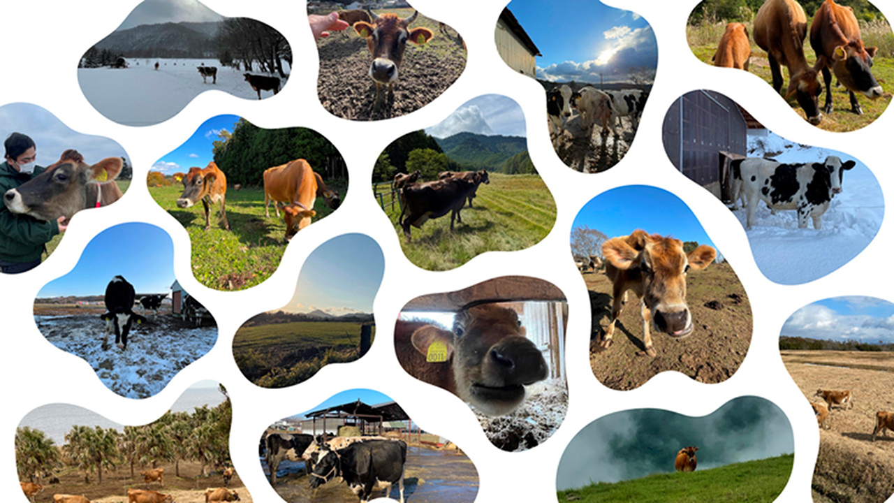 CRAFT MILK でビジネスができないか妄想し始める